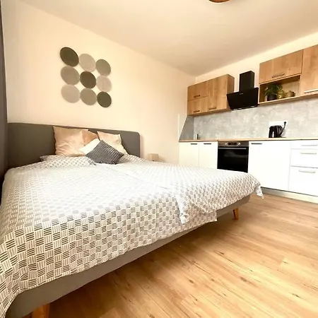 C.4 V Bankovnim Dome Apartment